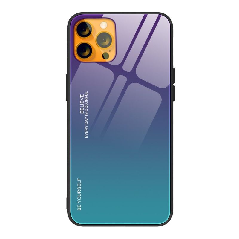 Cover iPhone 13 Pro Max Farvegradient