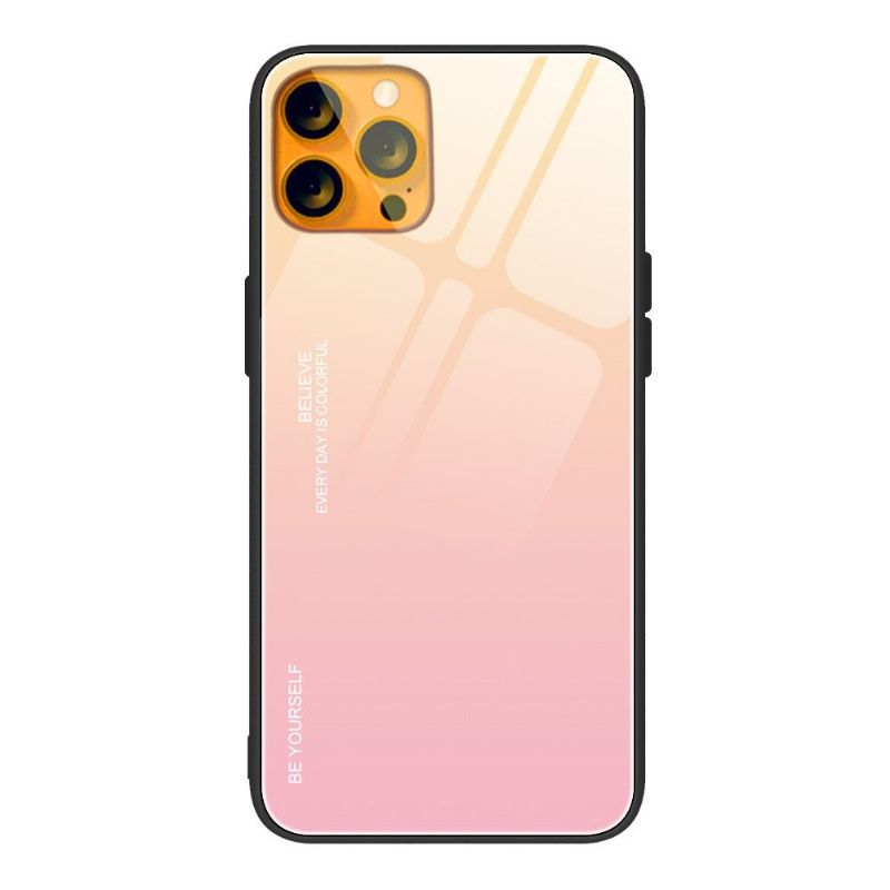 Cover iPhone 13 Pro Max Farvegradient