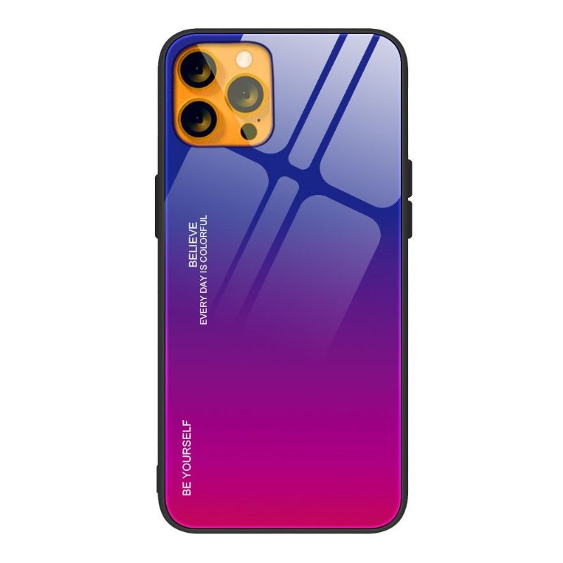 Cover iPhone 13 Pro Max Farvegradient