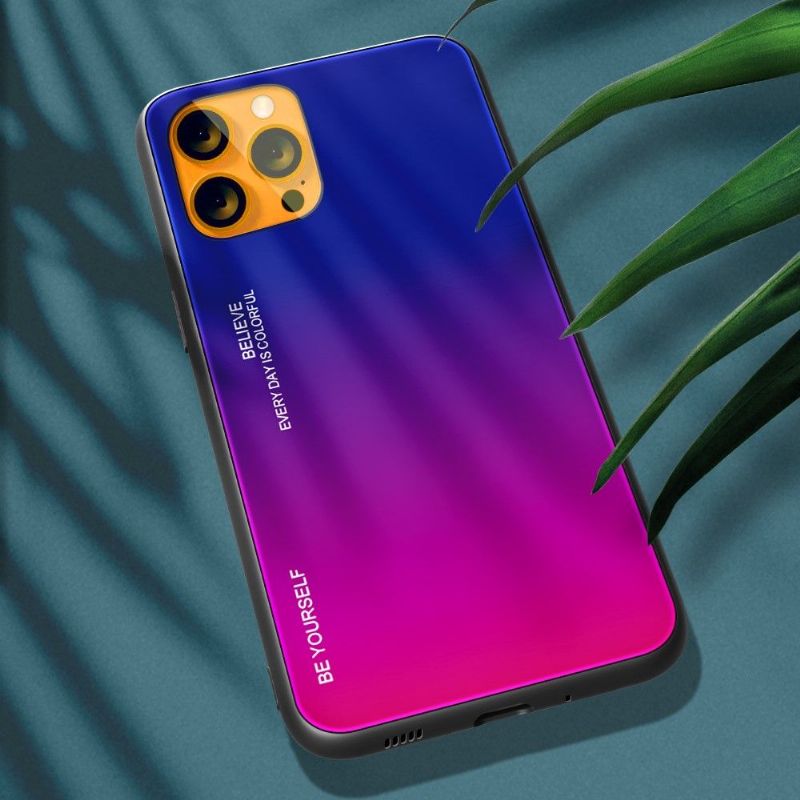 Cover iPhone 13 Pro Max Farvegradient