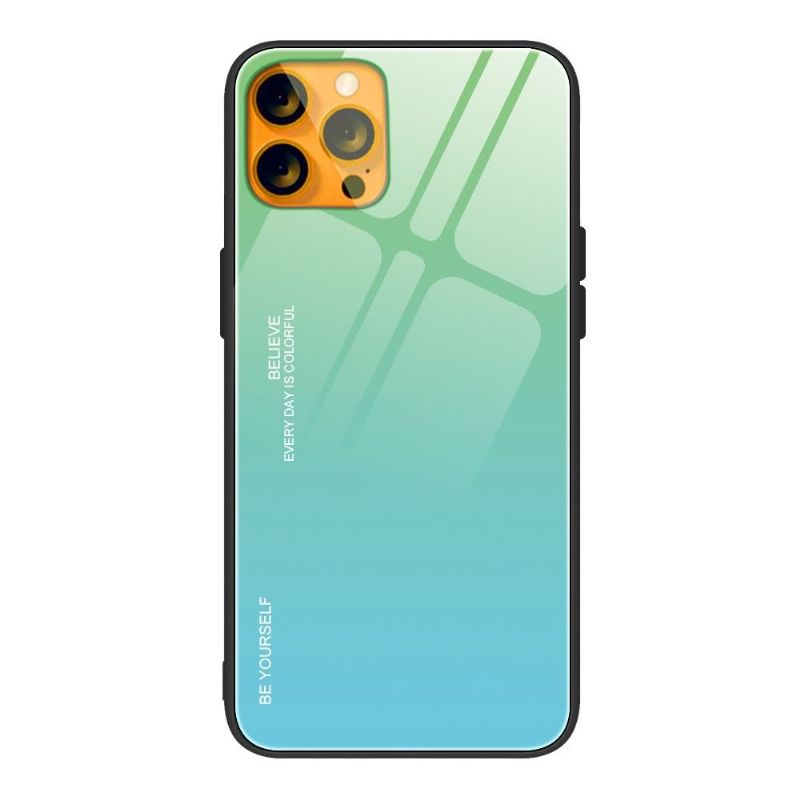 Cover iPhone 13 Pro Max Farvegradient