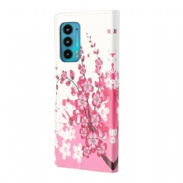 Flip Cover Motorola Edge 20 Japansk Abrikos