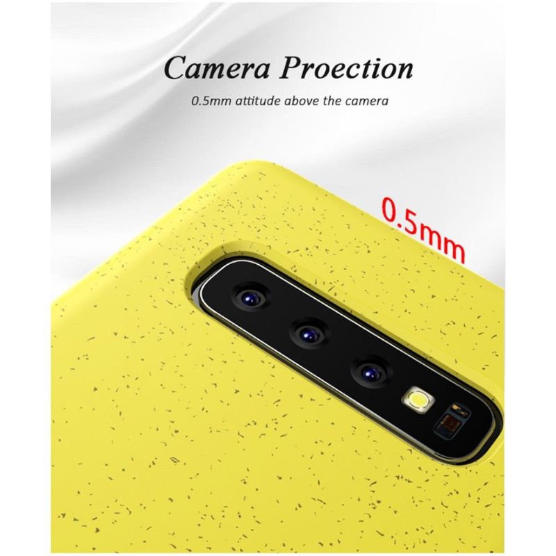 Cover Samsung Galaxy S10 Korn Med Mateffekt