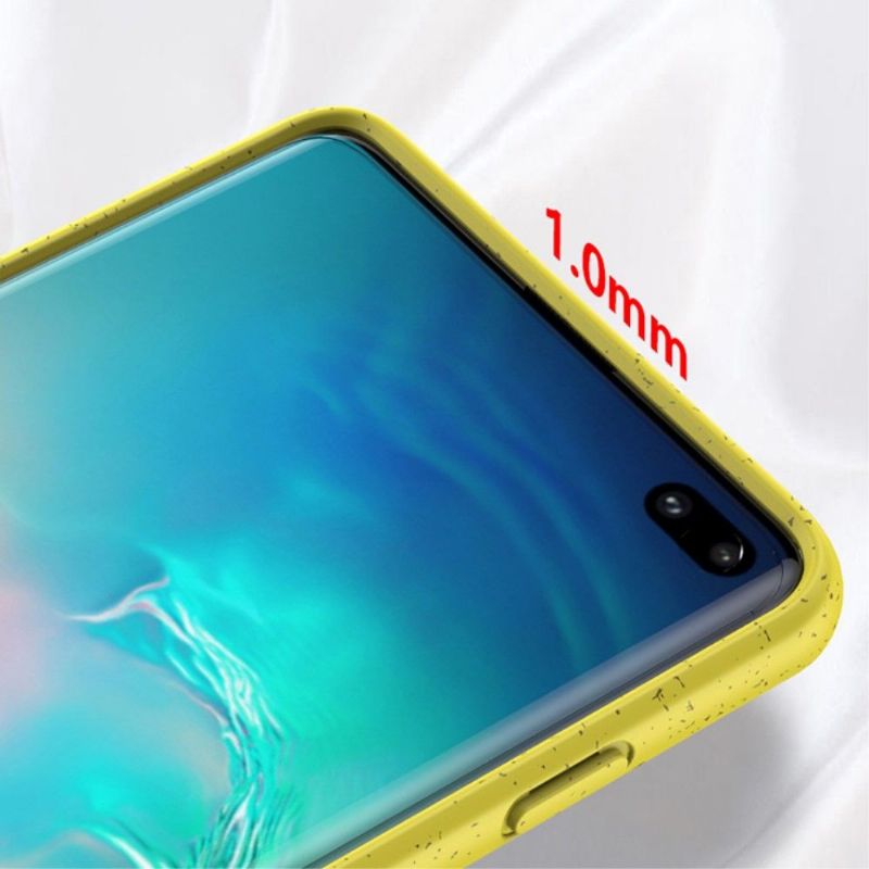 Cover Samsung Galaxy S10 Korn Med Mateffekt