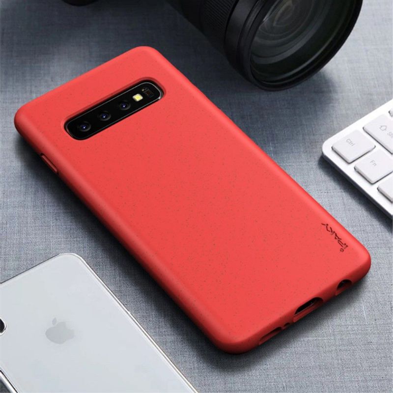 Cover Samsung Galaxy S10 Korn Med Mateffekt