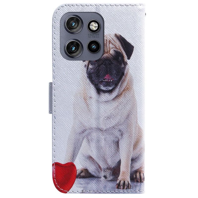 Flip Cover Motorola Edge 50 Neo Mops Hund