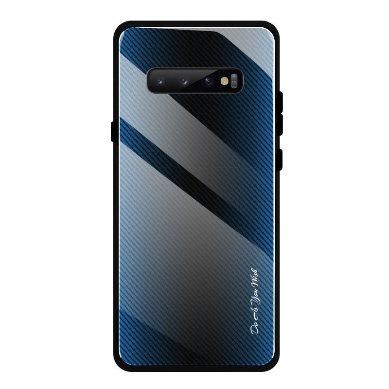 Cover Samsung Galaxy S10 Plus Carbon Glas Bagside