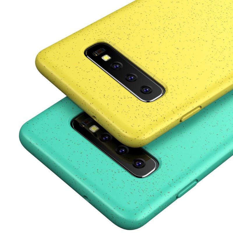 Cover Samsung Galaxy S10 Plus Korn Med Mateffekt