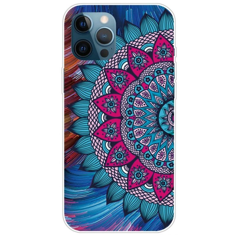 Mobilcover iPhone 14 Pro Max Farverig Mandala