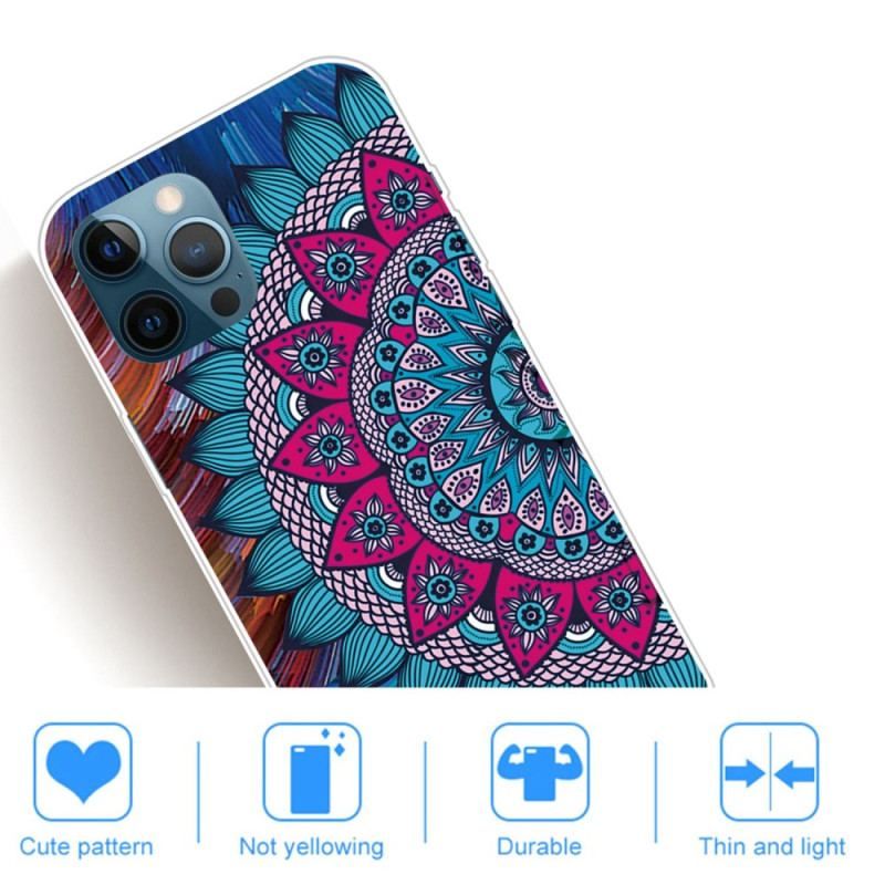 Mobilcover iPhone 14 Pro Max Farverig Mandala